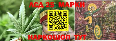 apvp Пушкино